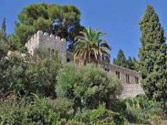 183 HYERES ET SES PALMIERS D01_000012